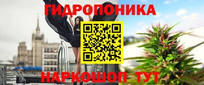 кокс Кандалакша
