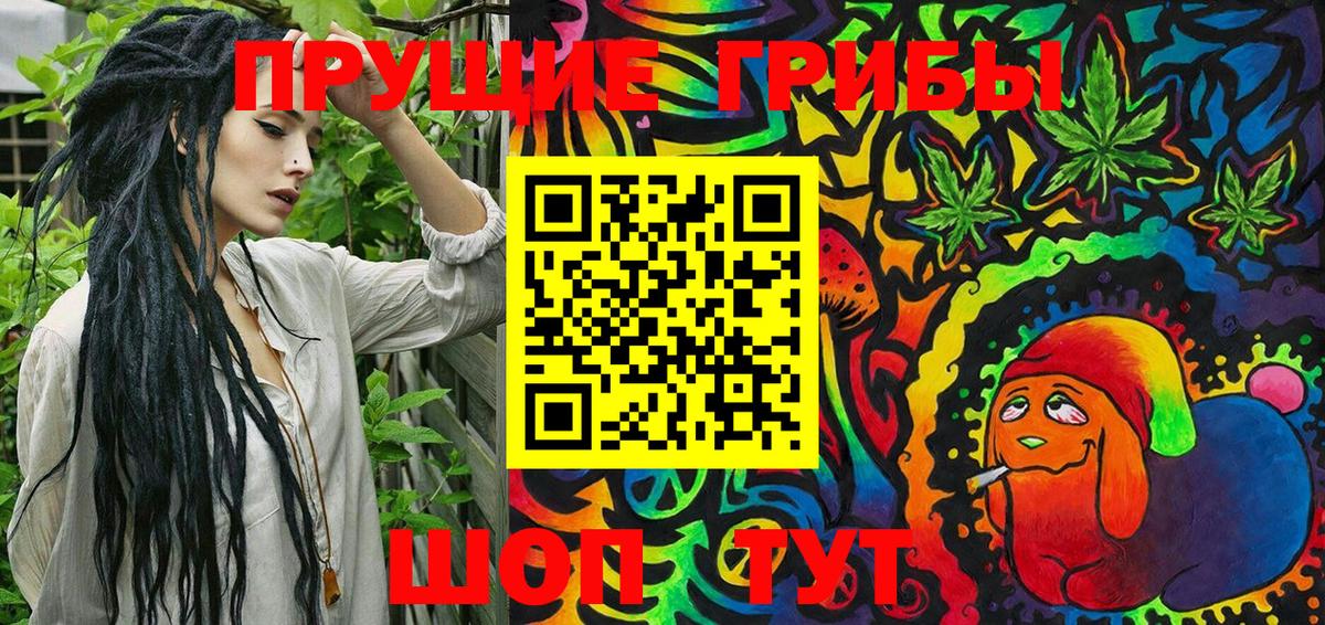 Галлюциногенные грибы Cubensis Кызыл